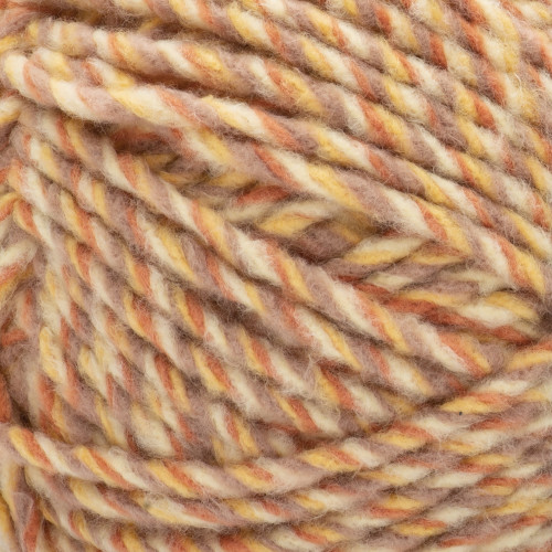 2 Pack Bernat Forever Fleece Yarn-Orange Sun 166061-61033