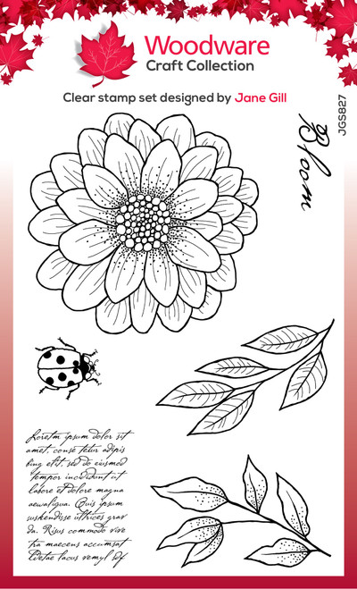 2 Pack Woodware Clear Stamp 4"X6"-Singles Ditsy Daisy -JGS827 - 5055305974155