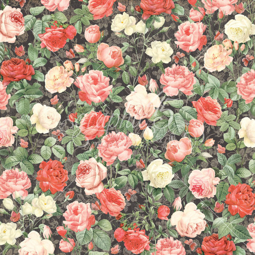 Graphic 45 Collector's Edition Pack 12"X12"-Mon Amor - G4502537 Graphic 45 Collector's Edition Pack 12"X12"-Mon Amor - G4502537