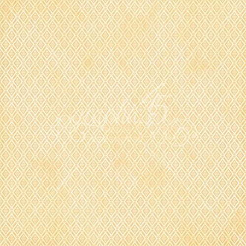 Graphic 45 Collector's Edition Pack 12"X12"-Mon Amor - G4502537 Graphic 45 Collector's Edition Pack 12"X12"-Mon Amor - G4502537