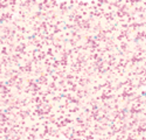 Stickles Glitter Glue .5oz-Crystal - SGG01-782 - 789541001782