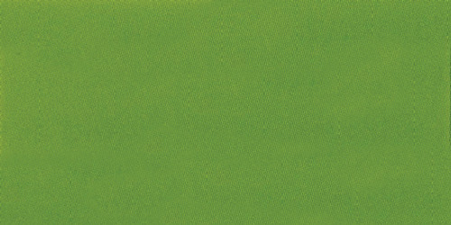 Jacquard Acid Dyes .5oz-Kelly Green - JAC-627 - 743772162704