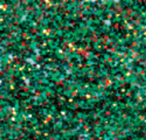 Stickles Glitter Glue .5oz-Holly SGG01-812 - 789541001812