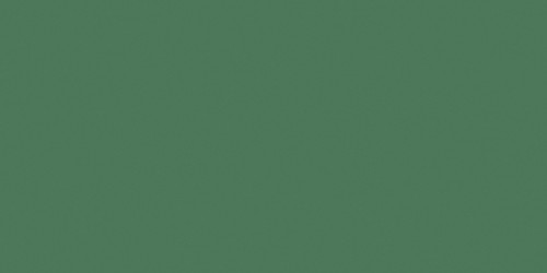 Ceramcoat Acrylic Paint 2oz-Forest Green - Opaque - 2000-2010 - 017158201029