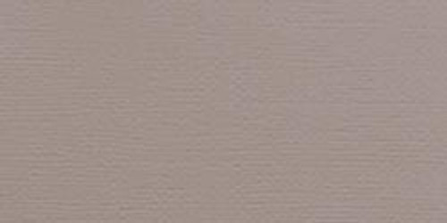 25 Pack American Crafts Textured Cardstock 12"X12"-Nickel AM710-720 - 718813717205