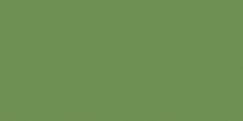 Ceramcoat Acrylic Paint 2oz-Light Foliage Green - Opaque - 2000-2537 - 017158253721