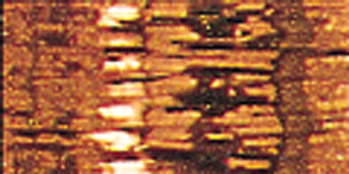 Sulky Metallic Thread 250yd-Light Copper - 145-8011 - 727072580116