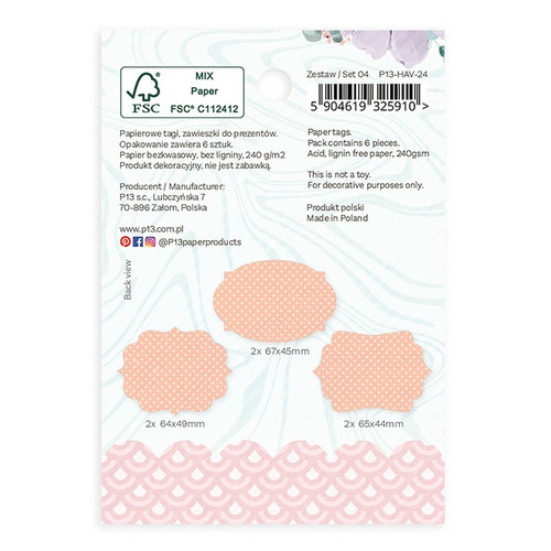 Have Fun Double-Sided Cardstock Tags 6/Pkg-#04 P13HAV24