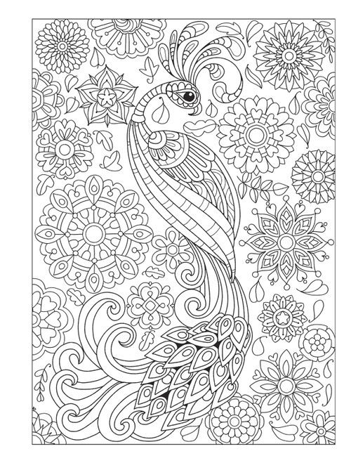 Creative Haven: Fanciful Birds Coloring Book-Softcover B6850405