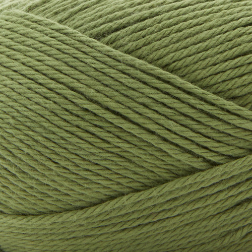 Premier Cotton Sprout Worsted Yarn-Leaf 2101-09