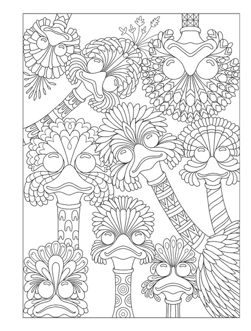 2 Pack Creative Haven: Fanciful Birds Coloring BookB6850405