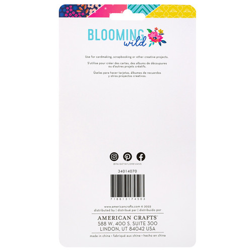 3 Pack - Paige Evans Blooming Wild Chipboard Mini Frames-18/Pkg - PE014070