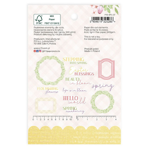 2 Pack Spring Is Calling Ephemera Cardstock Die-Cuts 12/Pkg-Frames & Words P13SPC37