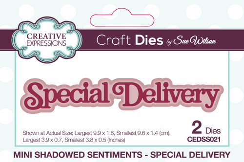 2 Pack Creative Expressions Craft Dies By Sue Wilson-Mini Shadowed Sentiments Special Deliver CEDSS021 - 5055305979150