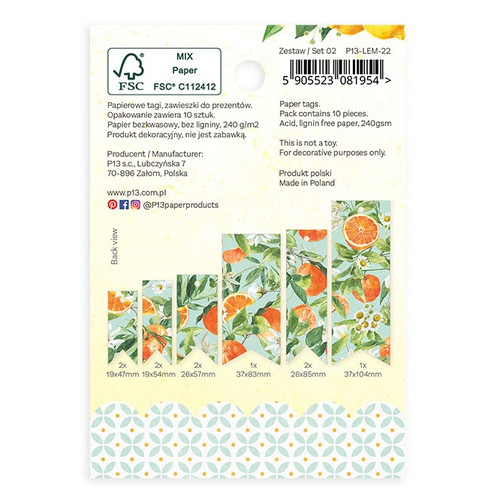 Fresh Lemonade Double-Sided Cardstock Tags 10/Pkg-#02 P13LEM22