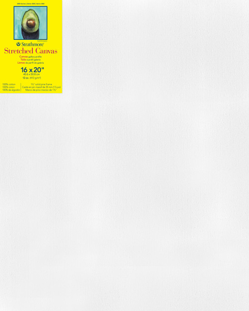 Strathmore 300 Series Gallery Stretch Canvas-16"X20" - P31416 - 012017314162