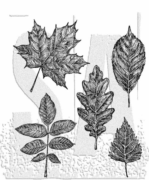 Tim Holtz Cling Stamps 7"X8.5"-Sketchy Leaves CMS467 - 691835440705