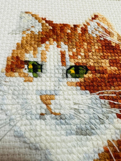 RIOLIS Counted Cross Stitch Kit 9.5"X11.75"-Ginger Meow (10 Count) R2110