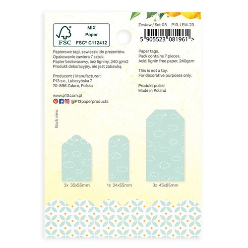 Fresh Lemonade Double-Sided Cardstock Tags 7/Pkg-#03 P13LEM23