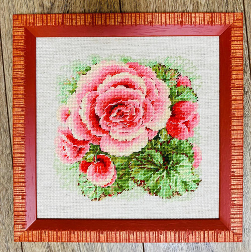 RIOLIS Counted Cross Stitch Kit 8.75"X8.75"-Begonia (14 Count) R2122