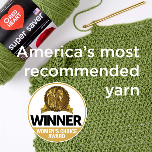 Red Heart Super Saver Super Yarn Knit Kit W/Accessories- - KIT003