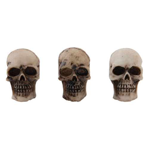 Tim Holtz Idea-Ology Skulls + BonesTH94339