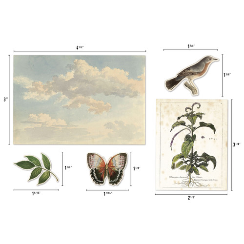 Idea-Ology Layers Die-Cuts 45/Pkg-Organic - TH94316 Idea-Ology Layers Die-Cuts 45/Pkg-Organic - TH94316