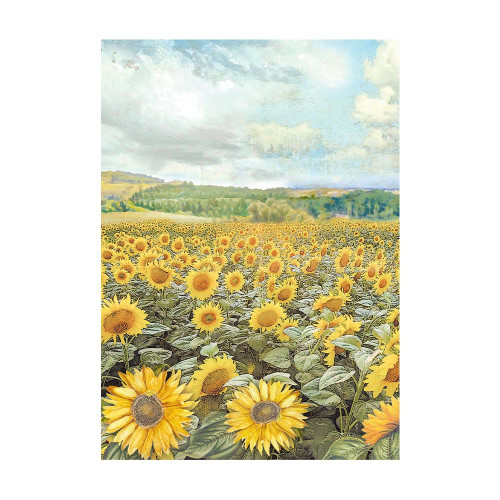 Stamperia Assorted Rice Paper Backgrounds A6 8/Sheets-Sunflower Art FSAK6004