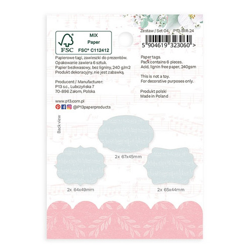 Birdhouse Double-Sided Cardstock Tags 6/Pkg-#04 - P13BIR24