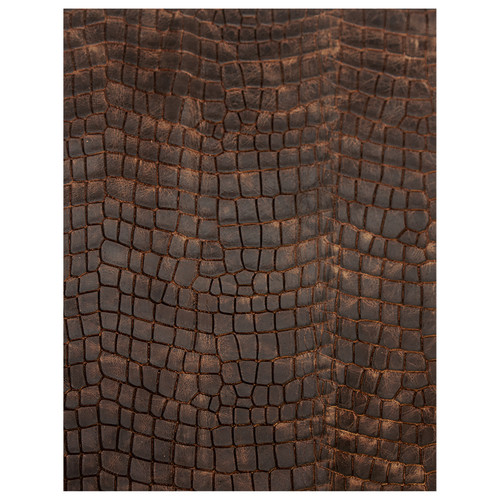 Realeather(R) Crafts Printed Leather Trim 8.5"X11"-Dragon Plate - C0811513