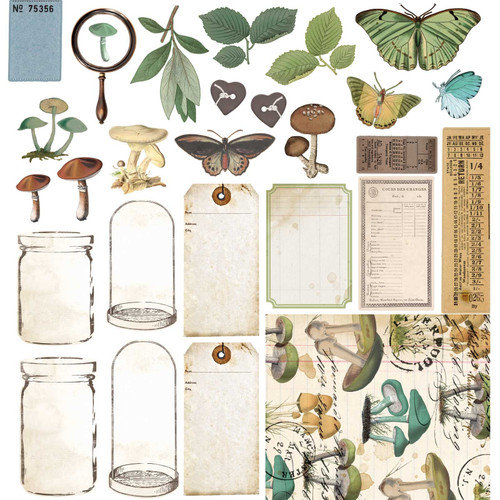 49 And Market Collection Pack 12"X12"-Nature Study NS41657