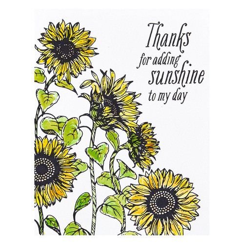 Spellbinders BetterPress Plate-Sunflower Field Press BP094