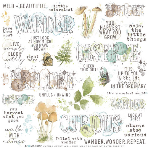 Nature Study Rub-Ons 12"X12" 1/Sheet-Sentiments NS23336