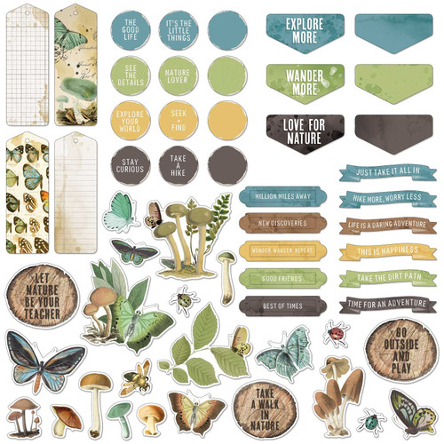 3 Pack Nature Study Chipboard SetNS23251