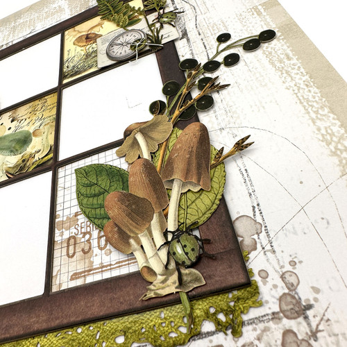 49 And Market Ultimate Page Kit-Nature Study NS41701