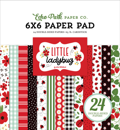 2 Pack Echo Park Double-Sided Paper Pad 6"X6" 24/Pkg-Little Ladybug LB347023 - 691835274218