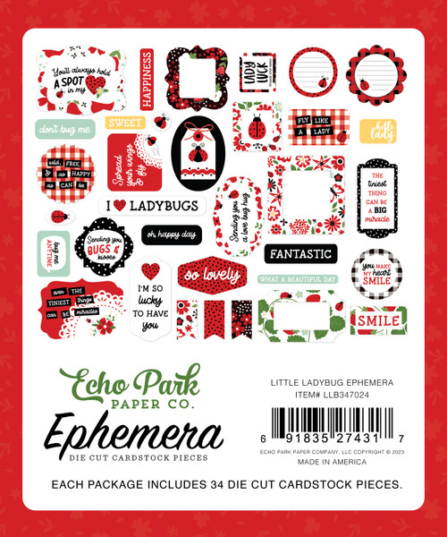 3 Pack Echo Park Cardstock Ephemera 34/Pkg-Icons, Little Ladybug LB347024