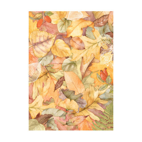 Stamperia Assorted Rice Paper Backgrounds A6 8/Sheets-Woodland FSAK6011