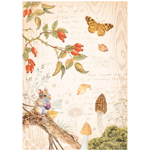 6 Pack Stamperia Rice Paper Sheet A4-Woodland Butterfly DFSA4817 - 5993110030942