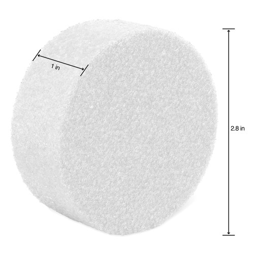 FloraCraft CraftFoM Discs 6/Pkg-1"X2.8" - D31WS636