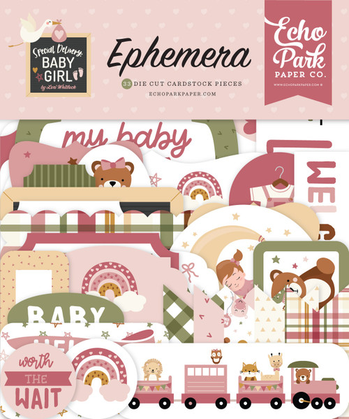 3 Pack Echo Park Cardstock Ephemera 33/Pkg-Icons, Special Delivery Baby Girl DG354024 - 691835351292