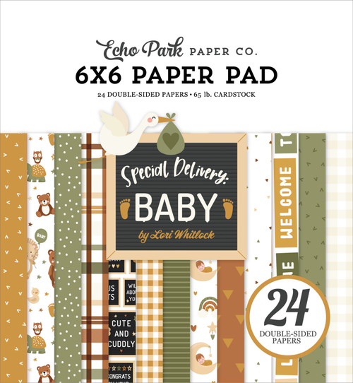 3 Pack - Echo Park Double-Sided Paper Pad 6"X6" 24/Pkg-Special Delivery Baby - DY355023 - 691835353791