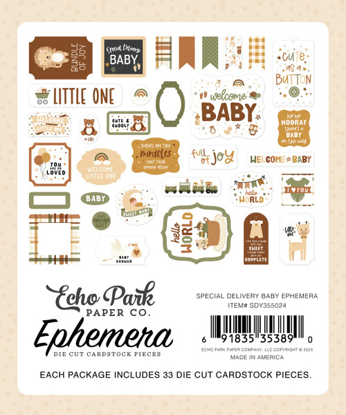 3 Pack Echo Park Cardstock Ephemera 33/Pkg-Icons, Special Delivery Baby DY355024