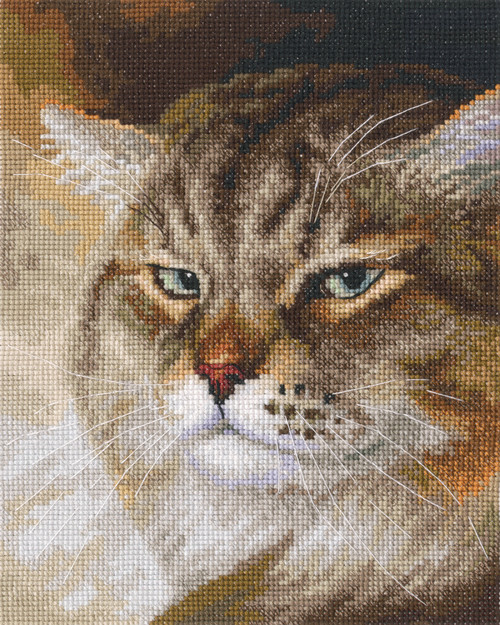 RTO Counted Cross Stitch Kit 6.25"X8"-Sly And Extremely Beautiful Macho Cat M995 - 4743348414820