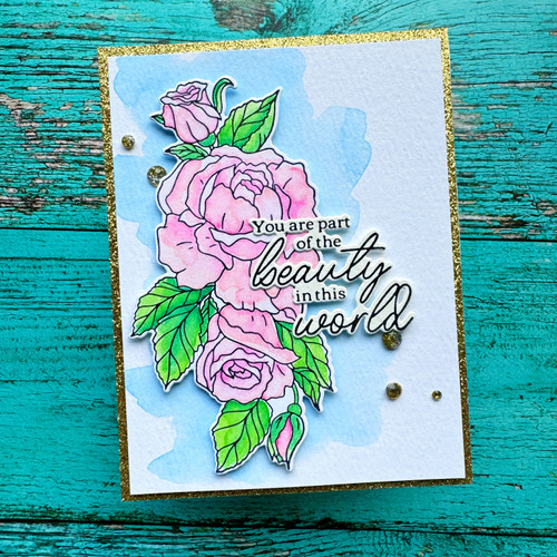 Pinkfresh Studio Press Plate-Favorite Things Sentiments PF215623