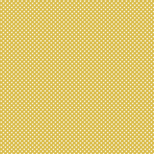 25 Pack True Colors Double-Sided Cardstock 12"X12"-Take The Photo TRC12-21809
