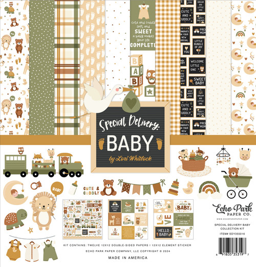 Echo Park Collection Kit 12"X12"-Special Delivery Baby - DY355016 - 691835353197