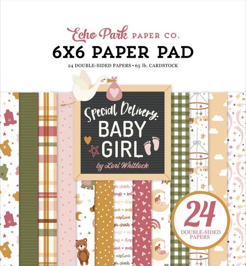 Echo Park Double-Sided Paper Pad 6"X6" 24/Pkg-Special Delivery Baby Girl DG354023 - 691835351193