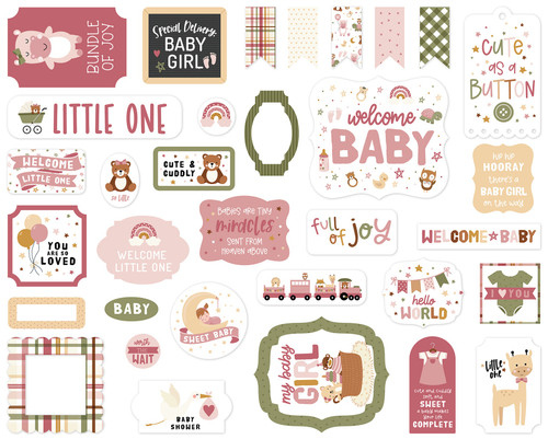 Echo Park Cardstock Ephemera 33/Pkg-Icons, Special Delivery Baby Girl DG354024