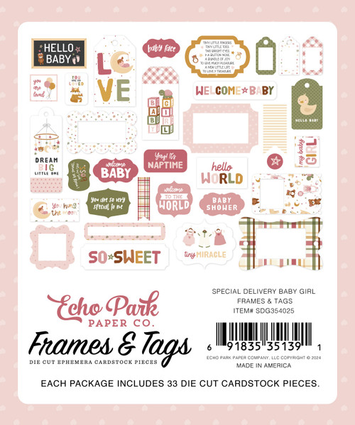 Echo Park Cardstock Ephemera 33/Pkg-Frames & Tags, Special Delivery Baby Gir DG354025